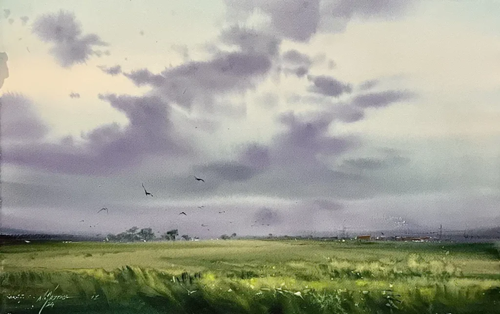 11